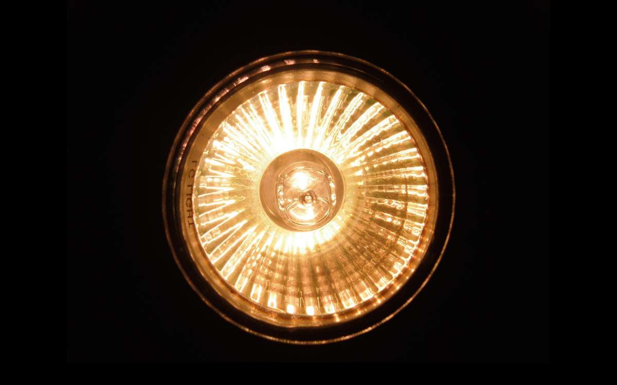 Halogen Light Bulb on Black